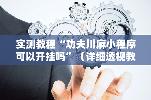 实测教程“功夫川麻小程序可以开挂吗”（详细透视教程）-哔哩哔哩