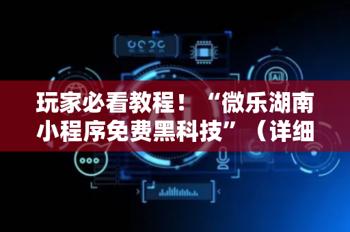 玩家必看教程！“微乐湖南小程序免费黑科技”（详细辅助教程）-哔哩哔哩