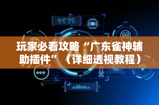 玩家必看攻略“广东雀神辅助插件”（详细透视教程）-哔哩哔哩