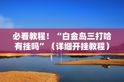 必看教程！“白金岛三打哈有挂吗”（详细开挂教程）-哔哩哔哩