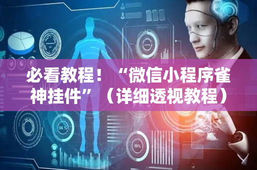 必看教程！“微信小程序雀神挂件”（详细透视教程）-哔哩哔哩