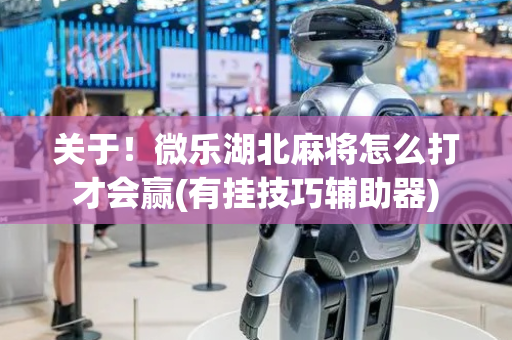 关于！微乐湖北麻将怎么打才会赢(有挂技巧辅助器)