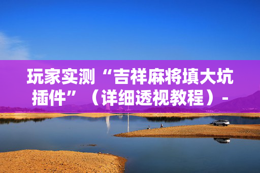 玩家实测“吉祥麻将填大坑插件”（详细透视教程）-哔哩哔哩