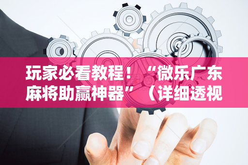 玩家必看教程！“微乐广东麻将助赢神器”（详细透视教程）-哔哩哔哩