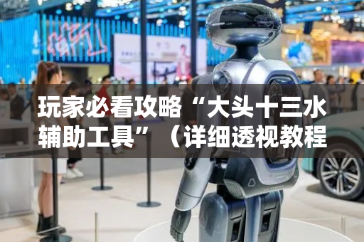 玩家必看攻略“大头十三水辅助工具”（详细透视教程）-哔哩哔哩