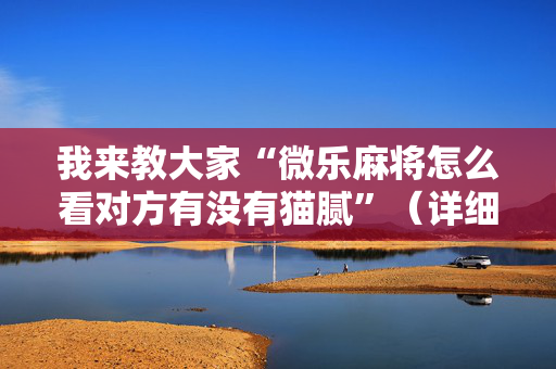我来教大家“微乐麻将怎么看对方有没有猫腻”（详细透视教程）-哔哩哔哩
