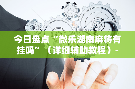 今日盘点“微乐湖南麻将有挂吗”（详细辅助教程）-哔哩哔哩
