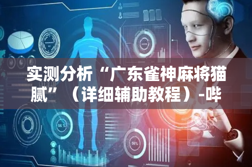 实测分析“广东雀神麻将猫腻”（详细辅助教程）-哔哩哔哩