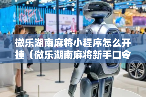微乐湖南麻将小程序怎么开挂（微乐湖南麻将新手口令）
