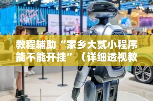 教程辅助“家乡大贰小程序能不能开挂”（详细透视教程）-哔哩哔哩