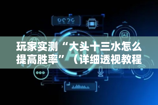 玩家实测“大头十三水怎么提高胜率”（详细透视教程）-哔哩哔哩