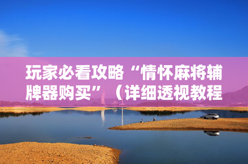 玩家必看攻略“情怀麻将辅牌器购买”（详细透视教程）-哔哩哔哩