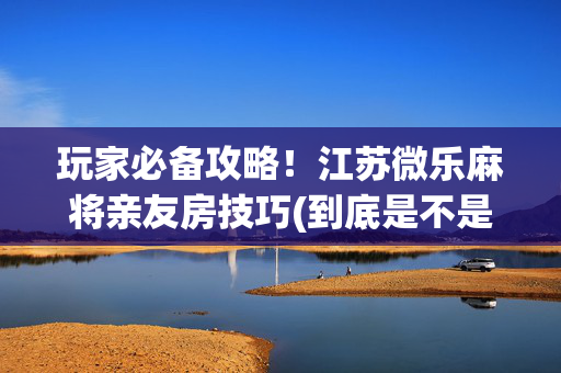玩家必备攻略！江苏微乐麻将亲友房技巧(到底是不是有挂)