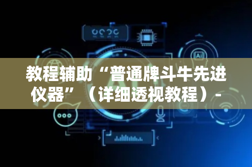 教程辅助“普通牌斗牛先进仪器”（详细透视教程）-哔哩哔哩