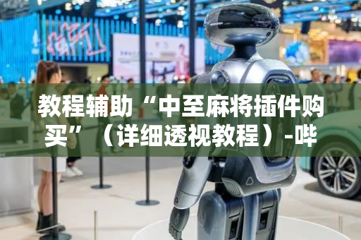 教程辅助“中至麻将插件购买”（详细透视教程）-哔哩哔哩