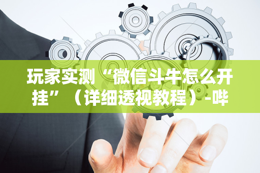 玩家实测“微信斗牛怎么开挂”（详细透视教程）-哔哩哔哩