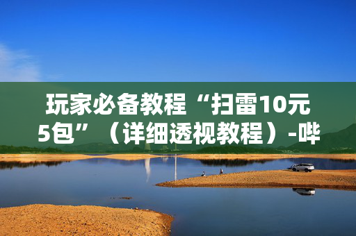 玩家必备教程“扫雷10元5包”（详细透视教程）-哔哩哔哩