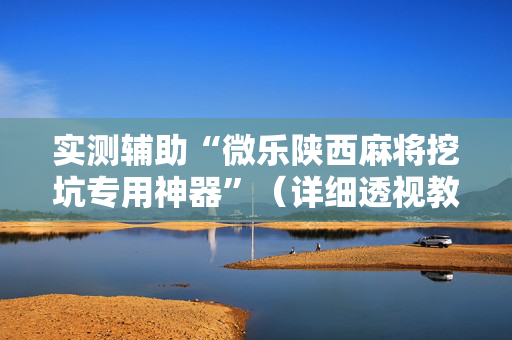 实测辅助“微乐陕西麻将挖坑专用神器”（详细透视教程）-哔哩哔哩