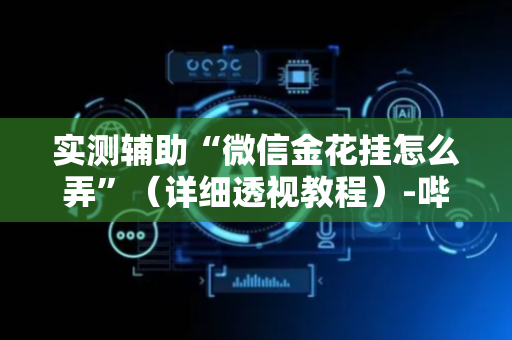 实测辅助“微信金花挂怎么弄”（详细透视教程）-哔哩哔哩