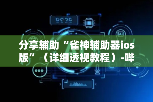 分享辅助“雀神辅助器ios版”（详细透视教程）-哔哩哔哩