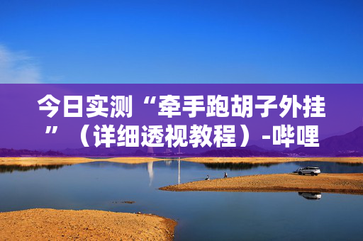 今日实测“牵手跑胡子外挂”（详细透视教程）-哔哩哔哩