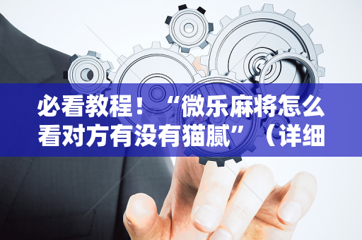 必看教程！“微乐麻将怎么看对方有没有猫腻”（详细辅助教程）-哔哩哔哩
