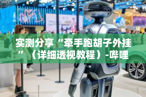 实测分享“牵手跑胡子外挂”（详细透视教程）-哔哩哔哩