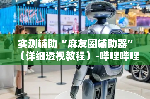 实测辅助“麻友圈辅助器”（详细透视教程）-哔哩哔哩