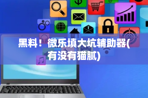 黑料！微乐填大坑辅助器(有没有猫腻)