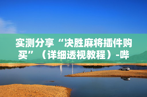 实测分享“决胜麻将插件购买”（详细透视教程）-哔哩哔哩