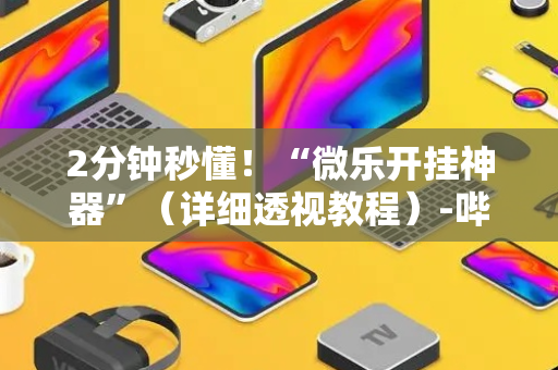 2分钟秒懂！“微乐开挂神器”（详细透视教程）-哔哩哔哩