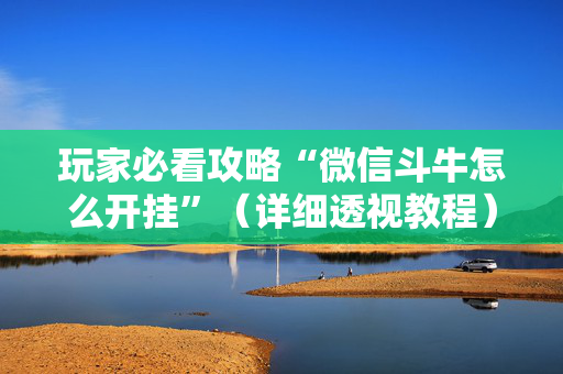 玩家必看攻略“微信斗牛怎么开挂”（详细透视教程）-哔哩哔哩