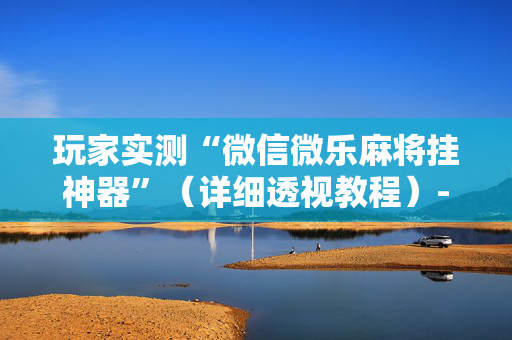 玩家实测“微信微乐麻将挂神器”（详细透视教程）-哔哩哔哩
