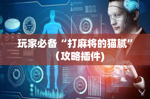 玩家必备“打麻将的猫腻”（攻略插件)