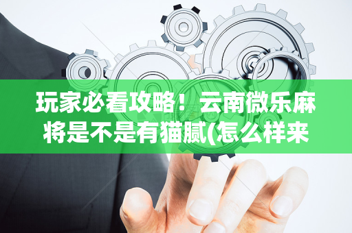 玩家必看攻略！云南微乐麻将是不是有猫腻(怎么样来好牌)