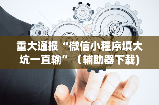重大通报“微信小程序填大坑一直输”（辅助器下载)