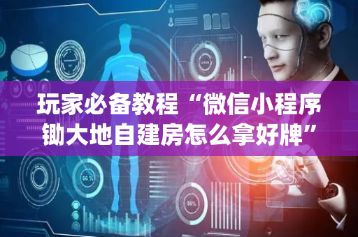 玩家必备教程“微信小程序锄大地自建房怎么拿好牌”（AI辅助胡牌规则)