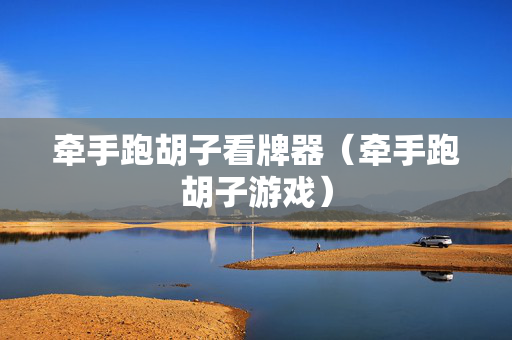 牵手跑胡子看牌器（牵手跑胡子游戏）