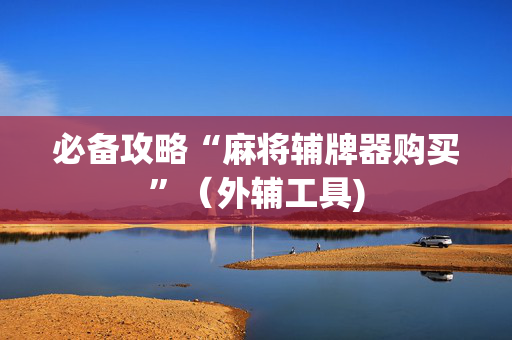 必备攻略“麻将辅牌器购买”（外辅工具)