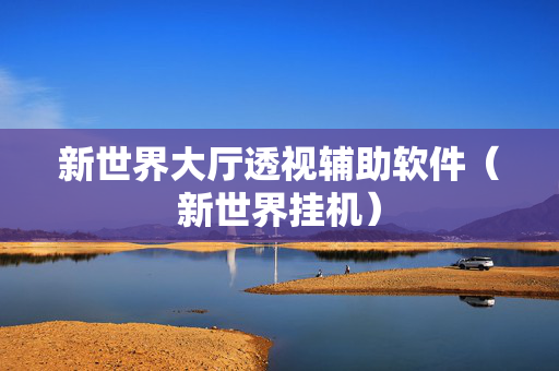新世界大厅透视辅助软件（新世界挂机）