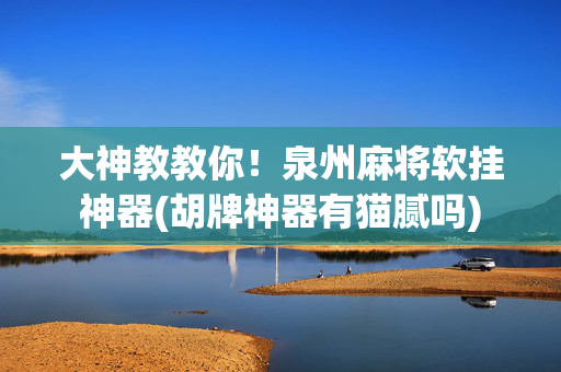 大神教教你！泉州麻将软挂神器(胡牌神器有猫腻吗)