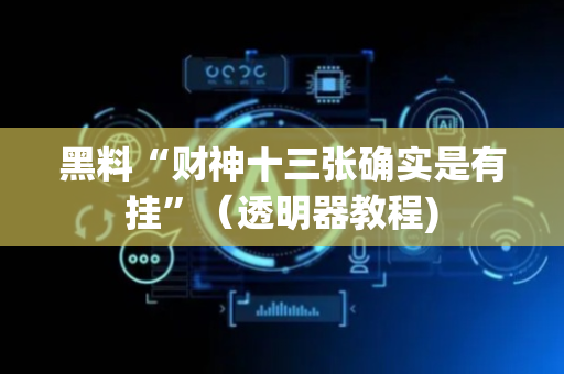 黑料“财神十三张确实是有挂”（透明器教程)