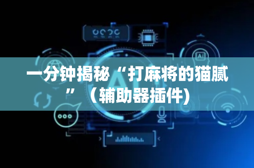 一分钟揭秘“打麻将的猫腻”（辅助器插件)