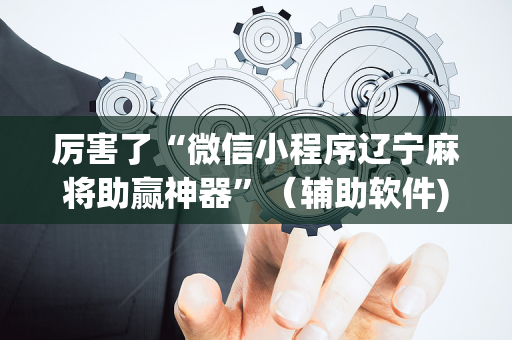 厉害了“微信小程序辽宁麻将助赢神器”（辅助软件)
