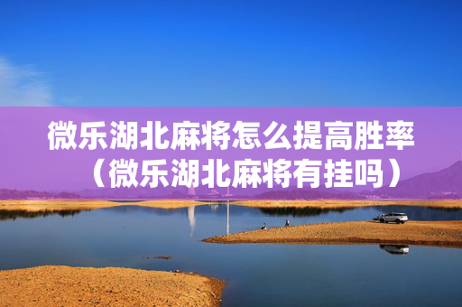 微乐湖北麻将怎么提高胜率（微乐湖北麻将有挂吗）