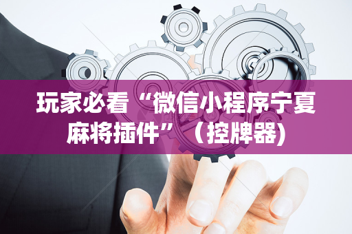 玩家必看“微信小程序宁夏麻将插件”（控牌器)