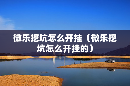 微乐挖坑怎么开挂（微乐挖坑怎么开挂的）