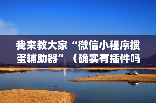 我来教大家“微信小程序掼蛋辅助器”（确实有插件吗)