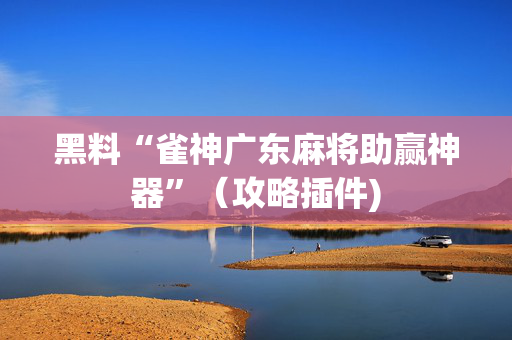 黑料“雀神广东麻将助赢神器”（攻略插件)