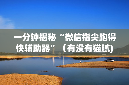 一分钟揭秘“微信指尖跑得快辅助器”（有没有猫腻)
